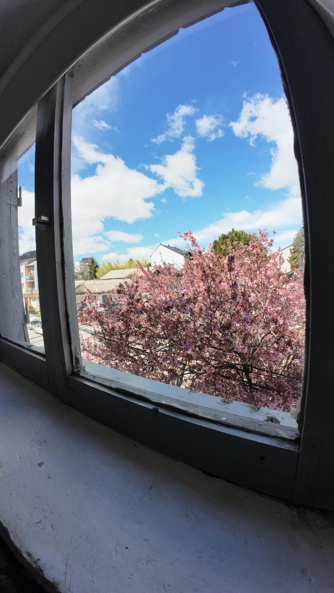 Temiscira Hostel San Carlos de Bariloche Esterno foto